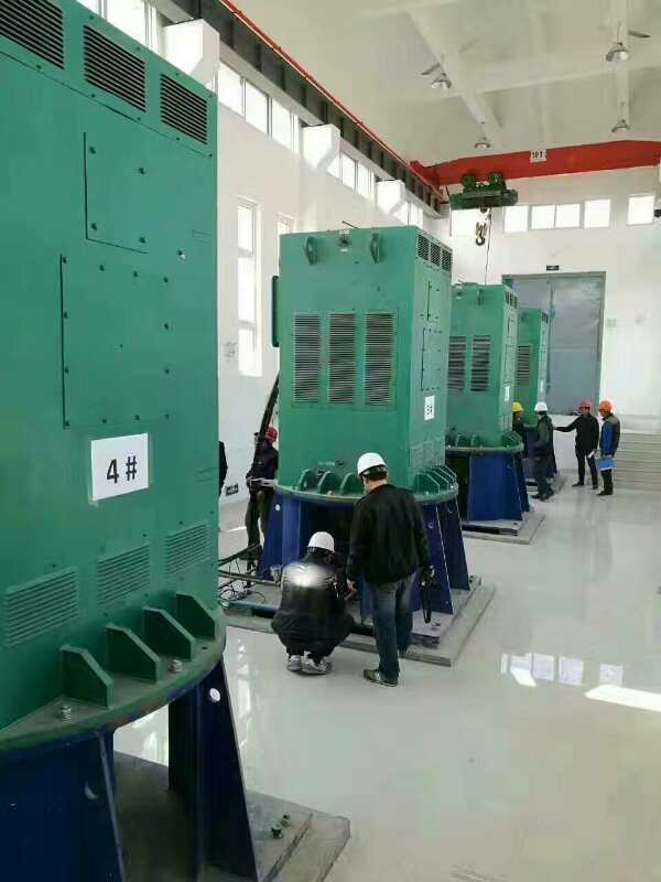 YKK5001-2GJ某污水处理厂使用我厂的立式高压电机安装现场