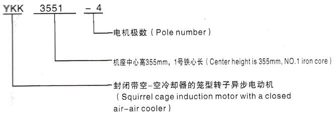 YKK系列(H355-1000)高压YKK5001-2GJ三相异步电机西安泰富西玛电机型号说明